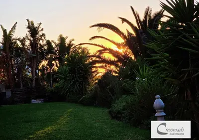 a garden with palm trees and a sunset in the background at Crossroads Guestrooms in Gordonʼs Bay