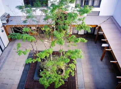 an overhead view of a courtyard with a tree at Avemore Eikehoff No 26 full power back up in Stellenbosch