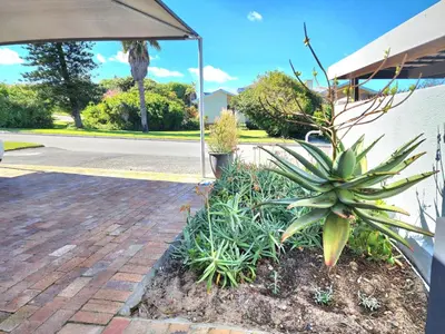 a plant in a garden next to a street at Mossel 11 Studio in Bloubergstrand