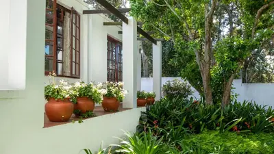 a row of flower pots on a wall with plants at Eastcliff Cottage in Hermanus