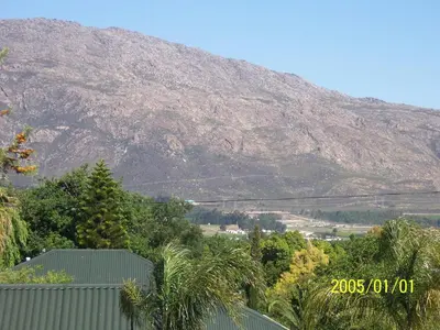a view of a mountain from a house with palm trees at Berg en Dal Guesthouse in Villiersdorp