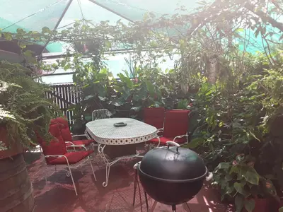 a patio with a table and a grill and plants at Overmeer in Worcester
