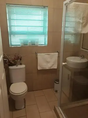 a bathroom with a toilet and a sink at Overmeer in Worcester