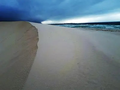 a sand dune on a beach near the ocean at Da Capo in Bettyʼs Bay