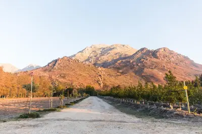 a dirt road with a mountain in the background at White Bridge Farm Accommodation in Wolseley