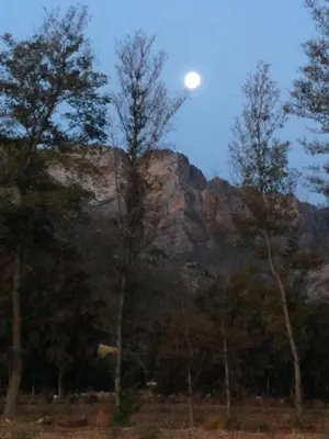 a full moon rising over a mountain with trees at White Bridge Farm Accommodation in Wolseley