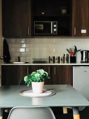 a potted plant sitting on a table in a kitchen at Panorama Self Catering in Panorama