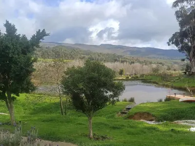a lake in a field with a tree in the foreground at Swaynekloof Farm in Botrivier