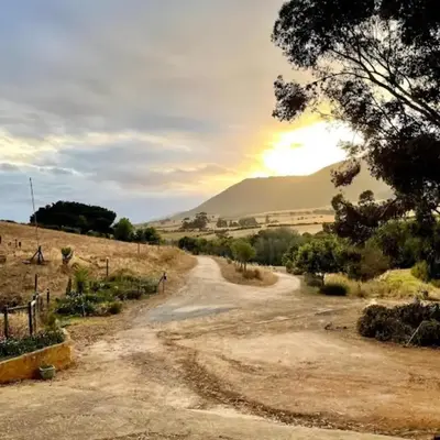 Swaynekloof Farm