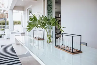 a glass counter with a vase with plants on it at Boschenmeer House in Paarl