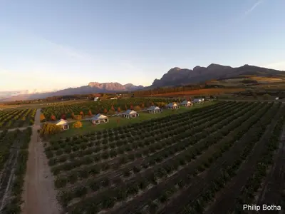 an aerial view of a vineyard and winery at Paddabult Self Catering Cottages in Paarl