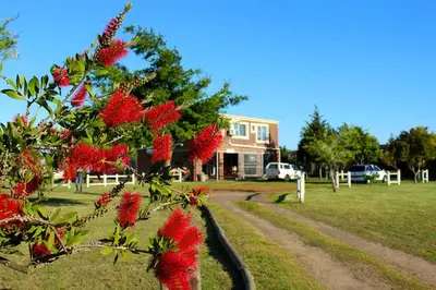 a tree with red flowers in front of a house at African Adventures Accommodation in Joostenberg Vlakte