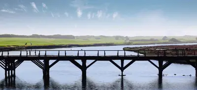 a pier in the water with ducks on the water at Milnerton Guesthouse in Cape Town