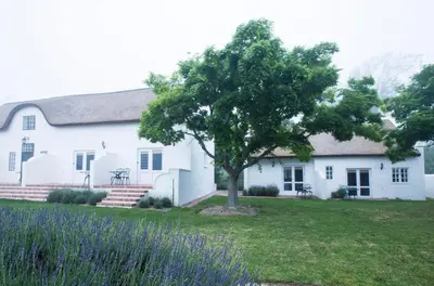 a white house with a tree in the yard at Klein Waterval Riverside Lodge in Franschhoek