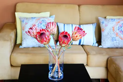 a vase with red flowers on a table in front of a couch at da Heim Guest House in Cape Town