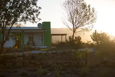 a green and white house with a tree at Windfall Wine Farm in Robertson