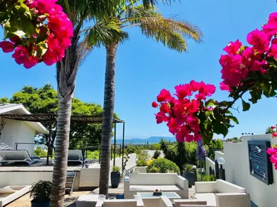 a view of a patio with palm trees and pink flowers at Southern Cross Guesthouse in Somerset West
