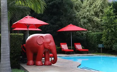 a red elephant statue next to a swimming pool at Avondrood Guest House by The Oyster Collection in Franschhoek