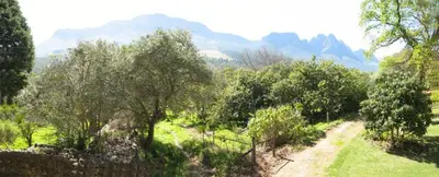 a dirt road with trees and mountains in the background at Kierie Kwaak Self Catering in Stellenbosch