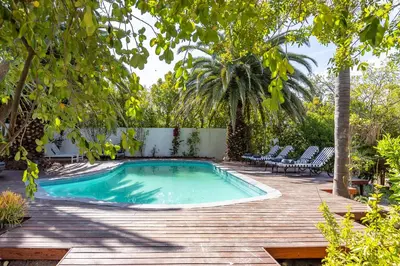 a swimming pool on a wooden deck with chairs and trees at Africa Lodge in Somerset West