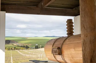 a wooden barrel with a view of a vineyard at Arcangeli Wines in Botrivier