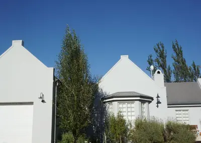 a white house with a tree in front of it at 5 Pierre Jourdan in Franschhoek