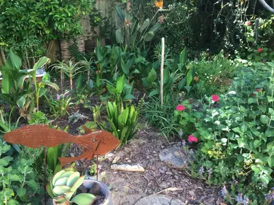 a garden with a bunch of plants and flowers at Olive Tree Garden apartment 1 in Cape Town