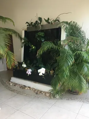a fish tank in a room with plants at The Blue Marine Self-Catering in Gordonʼs Bay