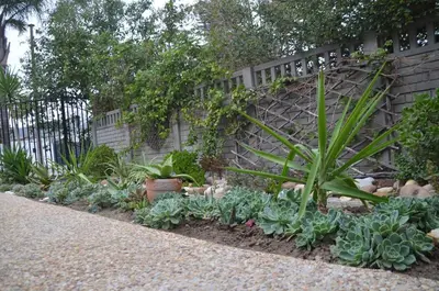 a garden of plants in front of a fence at Anni Bos in Stellenbosch