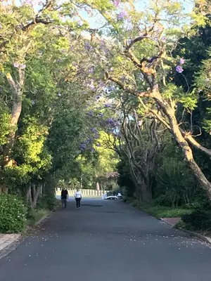 two people are walking down a road with trees at At Home in Mostertsdrift in Stellenbosch
