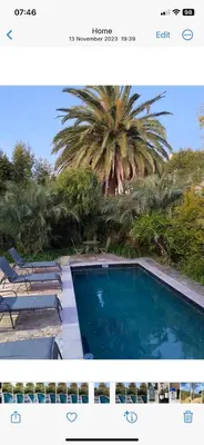 a picture of a swimming pool with a palm tree at At Home in Mostertsdrift in Stellenbosch
