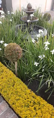 a garden with flowers and a fountain in the middle at Eversview Guesthouse in Durbanville