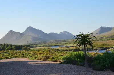 Gallery image of Kapensis Guesthouse (Pty) Ltd in Pringle Bay