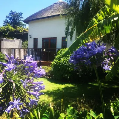 a house with purple flowers in front of it at Acara Guesthouse & Cottages in Stellenbosch