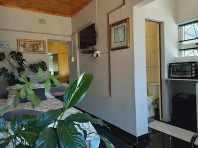 a room with two beds and a plant in it at Mountainia Inn in Worcester