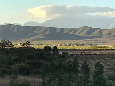 a field with trees and mountains in the background at Olive Hill Guest House in Robertson