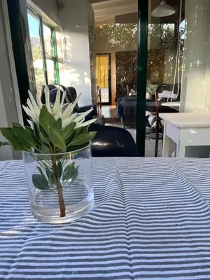a vase with a plant in it sitting on a table at Lemontree in Hermanus
