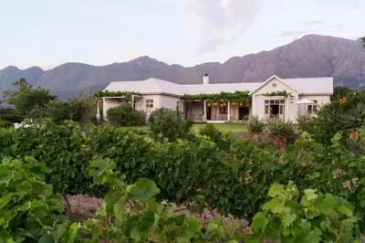 a house in a vineyard with mountains in the background at Cape Vue Country House in Franschhoek
