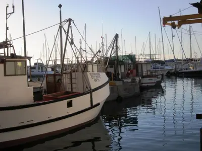 a group of boats docked in a harbor at Studio with unforgettable View in Gordonʼs Bay