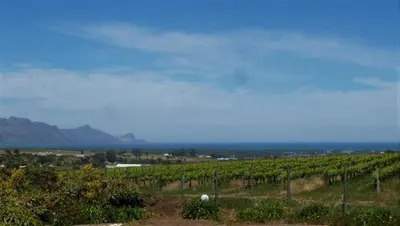 a view of a vineyard with mountains in the background at Little Farm in Raithby