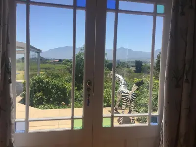 a zebra is standing outside of a window at Little Farm in Raithby
