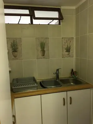 a kitchen with a sink and plants on the wall at Geranium Studio in Somerset West