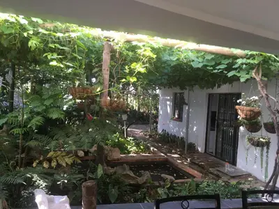 a garden in front of a house with plants at Rouana Guest Farm in Stellenbosch