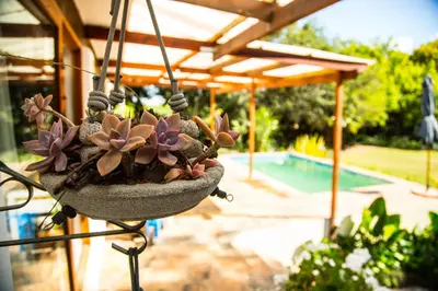 a potted plant is hanging from a porch at Rouana Guest Farm in Stellenbosch