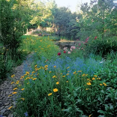 a garden with colorful flowers and a path at High Hopes in Greyton
