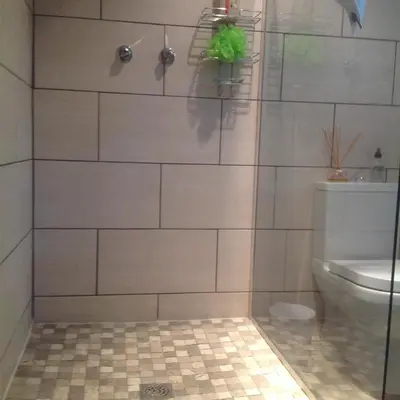 a bathroom with a shower and a toilet at Willow Brooke Guest Suite in Franschhoek
