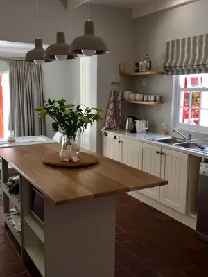 a kitchen with a table with a plant on it at Acorn Cottage Hermanus in Hermanus