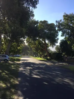 a tree lined road with a car parked on it at Acorn Cottage Hermanus in Hermanus
