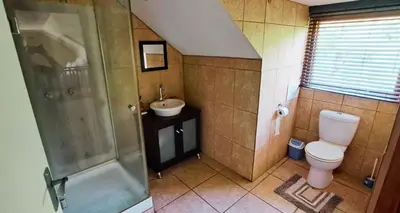 a bathroom with a toilet and a sink and a shower at Mountainview Vineyards in Robertson