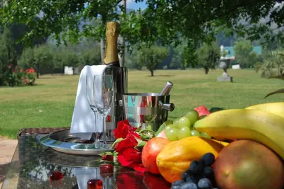 a table with a bottle of wine and a bunch of fruit at Orange-Ville Lodge & Guesthouse in Stellenbosch